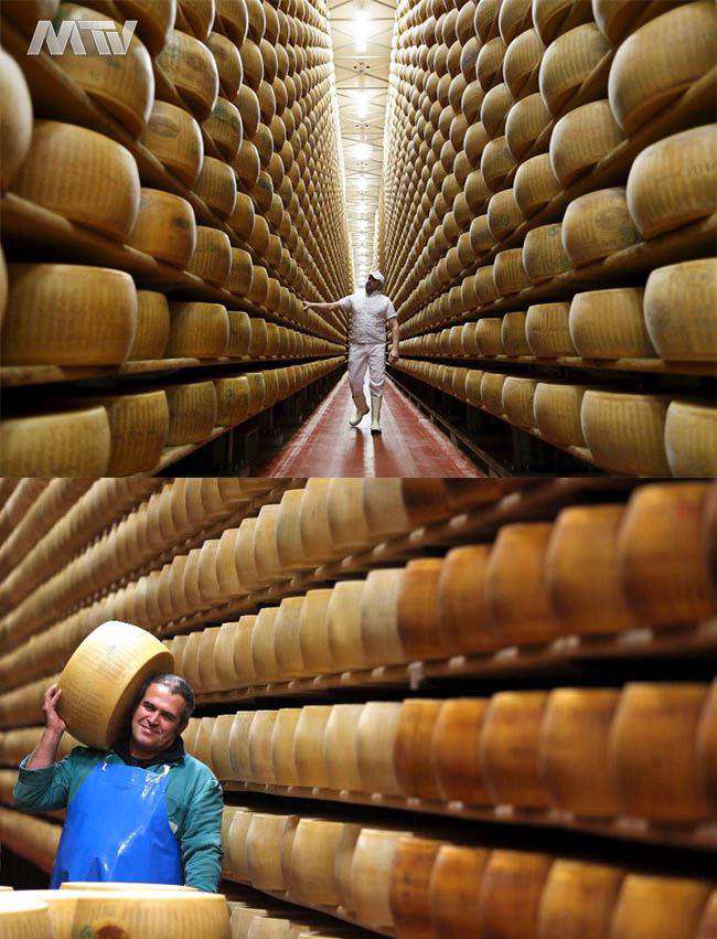 بانک امیلیانو یک بانک پنیری در ایتالیا